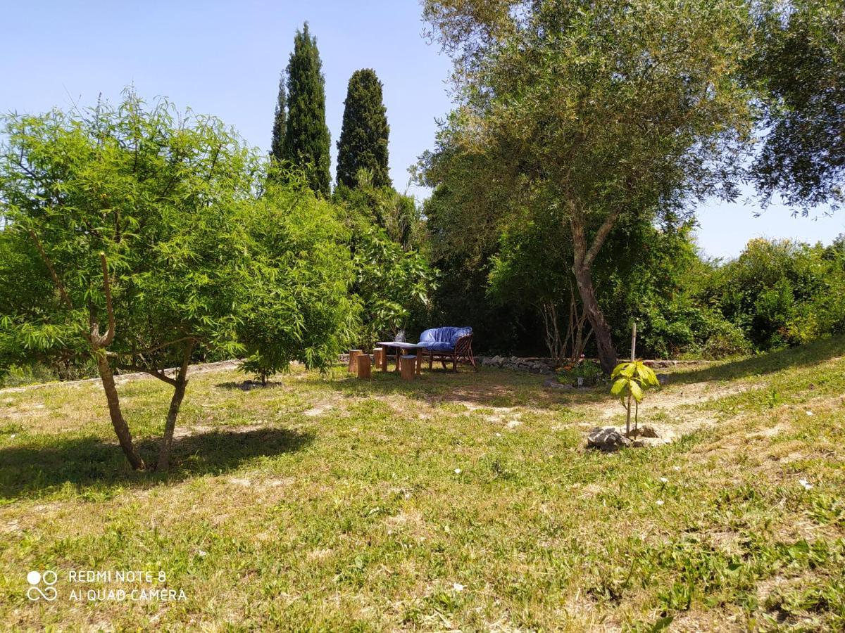 Corfu Villa Galini Potamós エクステリア 写真